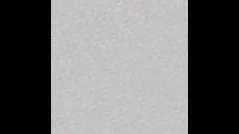 JSSD online show from February 2026 08:38:01 AM