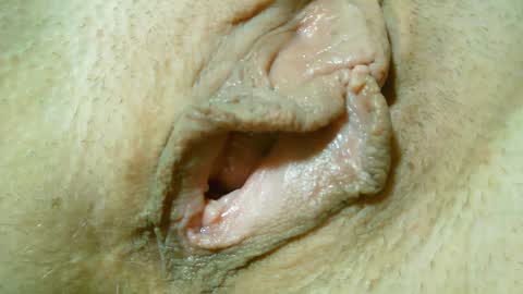 Lost in Lust online show from January 2025 12:50:02 AM