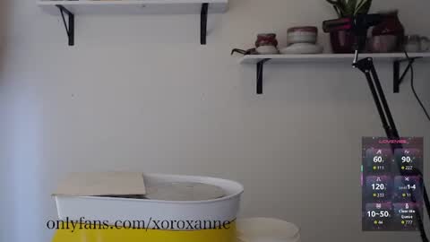 Snapshot of xoroxanne chatting on February 2026 08:36:01 PM xoroxanne online show from February 2026 08:36:01 PM