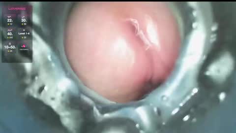 xoxowtf online show from December 2024 03:54:02 PM