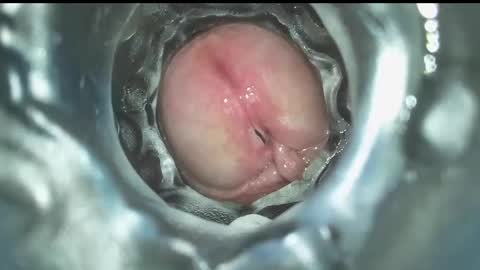 xoxowtf online show from December 2024 07:43:02 PM