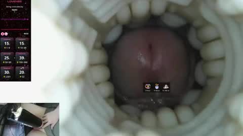 xoxowtf online show from March 2026 09:52:02 PM