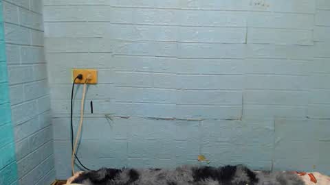 Ask Me Baby  online show from January 2025 11:56:02 AM