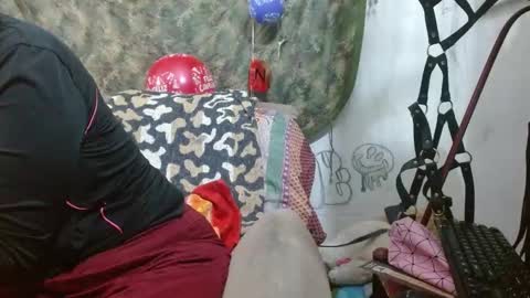   LILI  online show from December 2024 11:12:01 AM