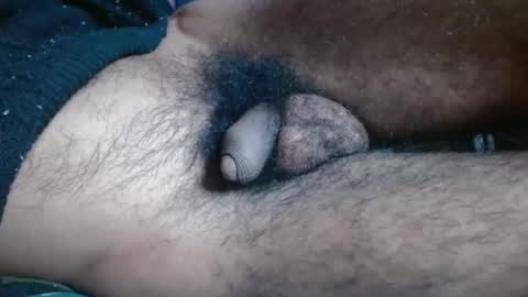 Prince online show from November 2025 07:41:02 PM