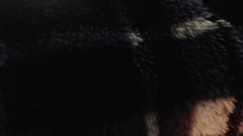 xxxking89 online show from December 2024 05:36:02 PM