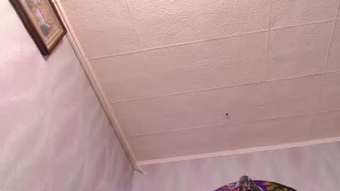 isa and gonzo online show from December 2024 08:49:02 AM