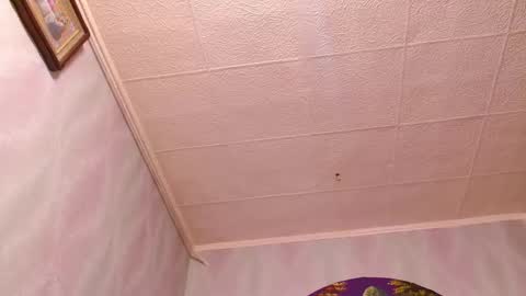 isa and gonzo online show from February 2025 09:40:02 AM