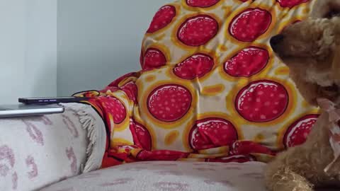 TonyDoesMiami online show from January 2025 05:13:01 PM