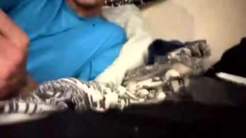 Thunder man online show from November 2025 12:02:01 AM