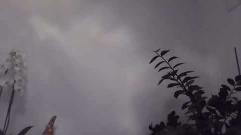 yakijoe online show from March 2026 10:56:02 PM