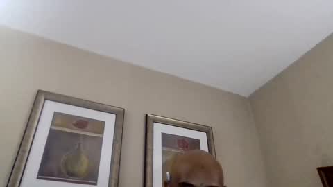 YallFav0rit3couple online show from April 2026 04:45:02 AM