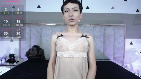 YANG online show from July 2026 11:16:02 AM