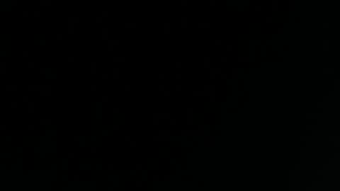 Yasmina online show from December 2024 02:25:02 AM