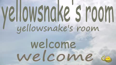.     y e l l o w s n a k e s       . online show from September 2025 10:37:02 PM