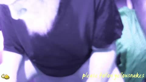 .     y e l l o w s n a k e s       . online show from December 2025 08:02:01 PM
