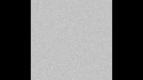 .     y e l l o w s n a k e s       . online show from February 2026 04:27:02 PM