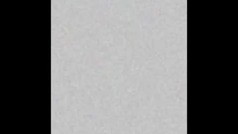 .     y e l l o w s n a k e s       . online show from February 2026 04:22:02 PM