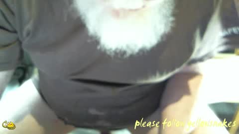 .     y e l l o w s n a k e s       . online show from April 2026 06:10:01 PM