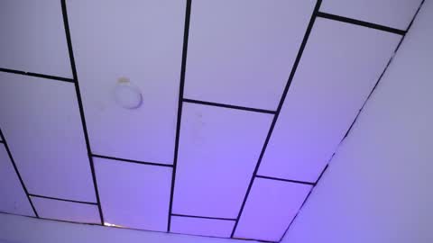 YEM online show from January 2025 07:45:01 PM