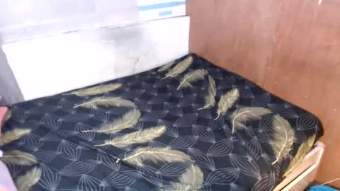 yhang_slut online show from January 2025 02:33:01 AM