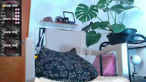 Snapshot of yosoy_enzo2020 chatting on February 2025 04:15:01 PM Enzo online show from February 2025 04:15:01 PM