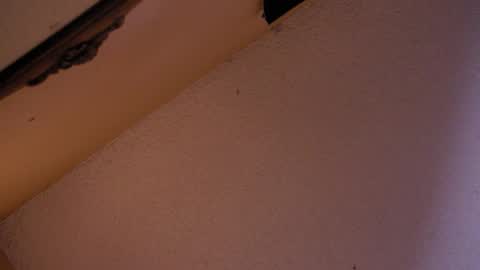 Sophiestar online show from October 2025 02:58:02 AM