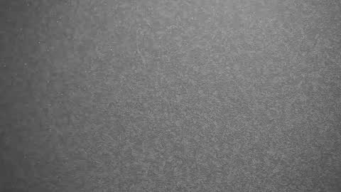 Meri  online show from February 2025 09:38:01 PM