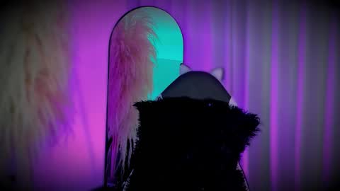 Cami independent model online show from March 2026 08:53:01 AM