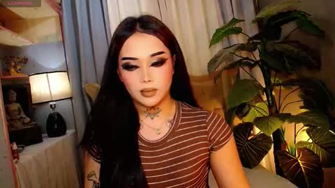 kim online show from November 2025 09:20:01 AM