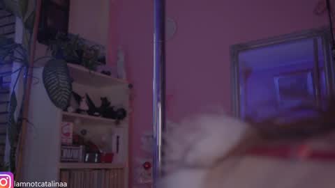 YourBabyPearl online show from December 2024 01:32:02 PM