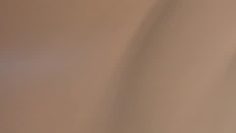 YOURBOYNEXTDOOR online show from January 2025 07:20:01 AM