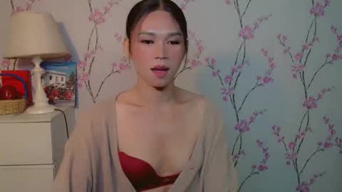 Snapshot of yourdreamgirljane chatting on October 2025 05:48:02 PM JANE online show from October 2025 05:48:02 PM