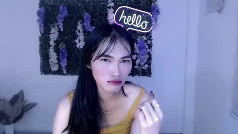    online show from February 2025 02:19:02 AM