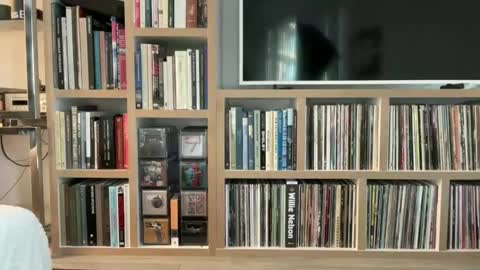 yumiandwolf online show from March 2025 11:16:02 PM