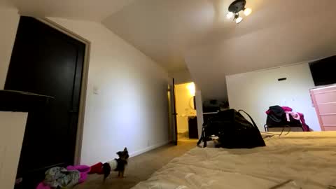 BbyTSSLut online show from November 2025 02:32:02 AM