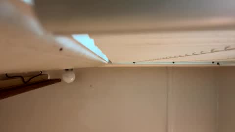 Snapshot of yungstudbev chatting on March 2026 12:40:01 PM yungstudbev online show from March 2026 12:40:01 PM