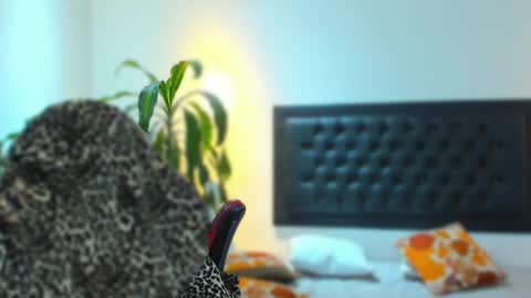 zachpri20 online show from September 2025 09:23:02 AM