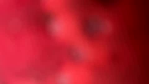 zachslime472 online show from March 2026 02:45:03 PM