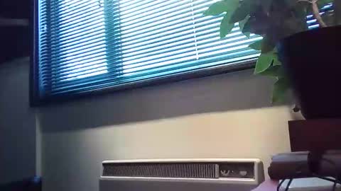 Snapshot of zalina2 chatting on February 2026 04:03:02 PM zalina2 online show from February 2026 04:03:02 PM