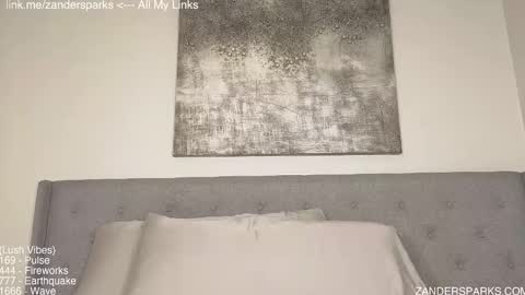 Snapshot of zandersparks chatting on November 2025 11:10:01 PM Zander Sparks online show from November 2025 11:10:01 PM