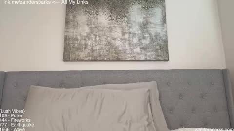 Snapshot of zandersparks chatting on November 2025 07:24:02 PM Zander Sparks online show from November 2025 07:24:02 PM