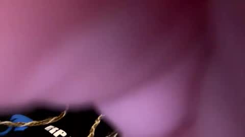 Snapshot of zapxxx69 chatting on March 2026 06:28:02 AM zapxxx69 online show from March 2026 06:28:02 AM