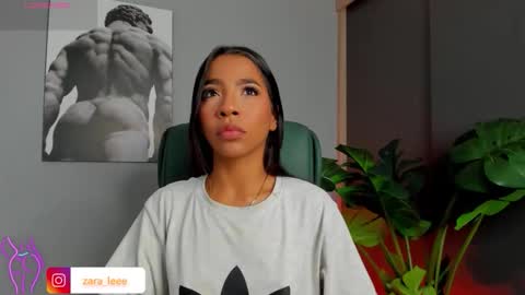 Zara online show from February 2026 11:53:02 AM