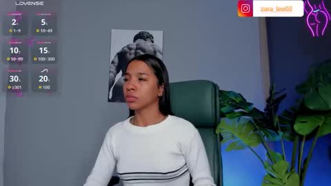 Zara online show from March 2026 11:27:02 AM