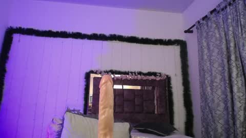 Snapshot of zaracollinx chatting on December 2024 12:17:01 AM Zara online show from December 2024 12:17:01 AM