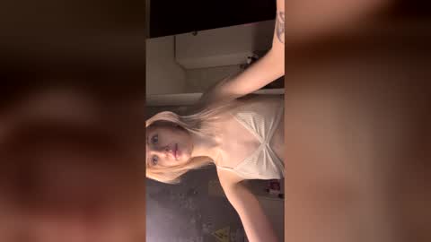 Snapshot of zaramontel chatting on January 2026 09:33:01 AM zaramontel online show from January 2026 09:33:01 AM