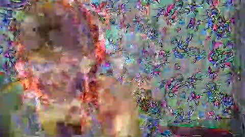 zarinamarlin online show from April 2026 07:53:01 AM