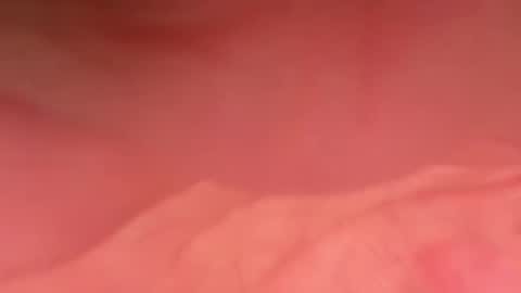 zebbarbrahim online show from December 2025 02:22:02 PM