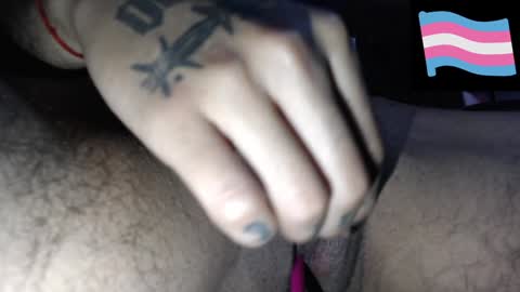 Zeldris online show from December 2024 01:38:02 PM